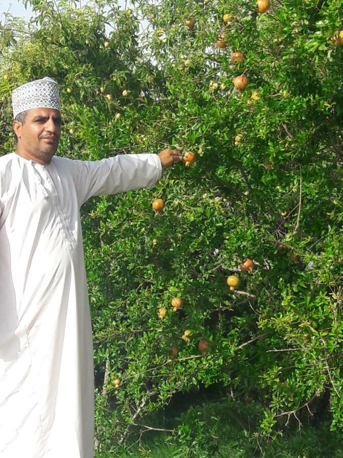 Hotel Abu Omair Jabal Shams House Al Ḩamrāʼ Esterno foto